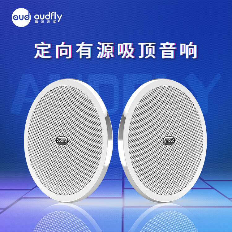 定向喇叭